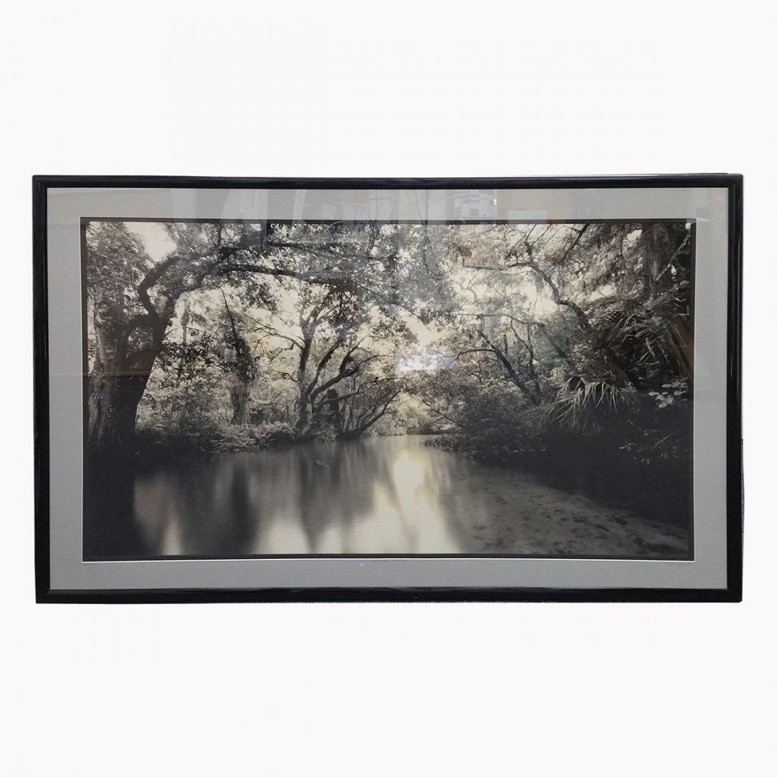 Huge Clyde Butcher Florida Everglades Photo Loxahatchee (1 of 7)