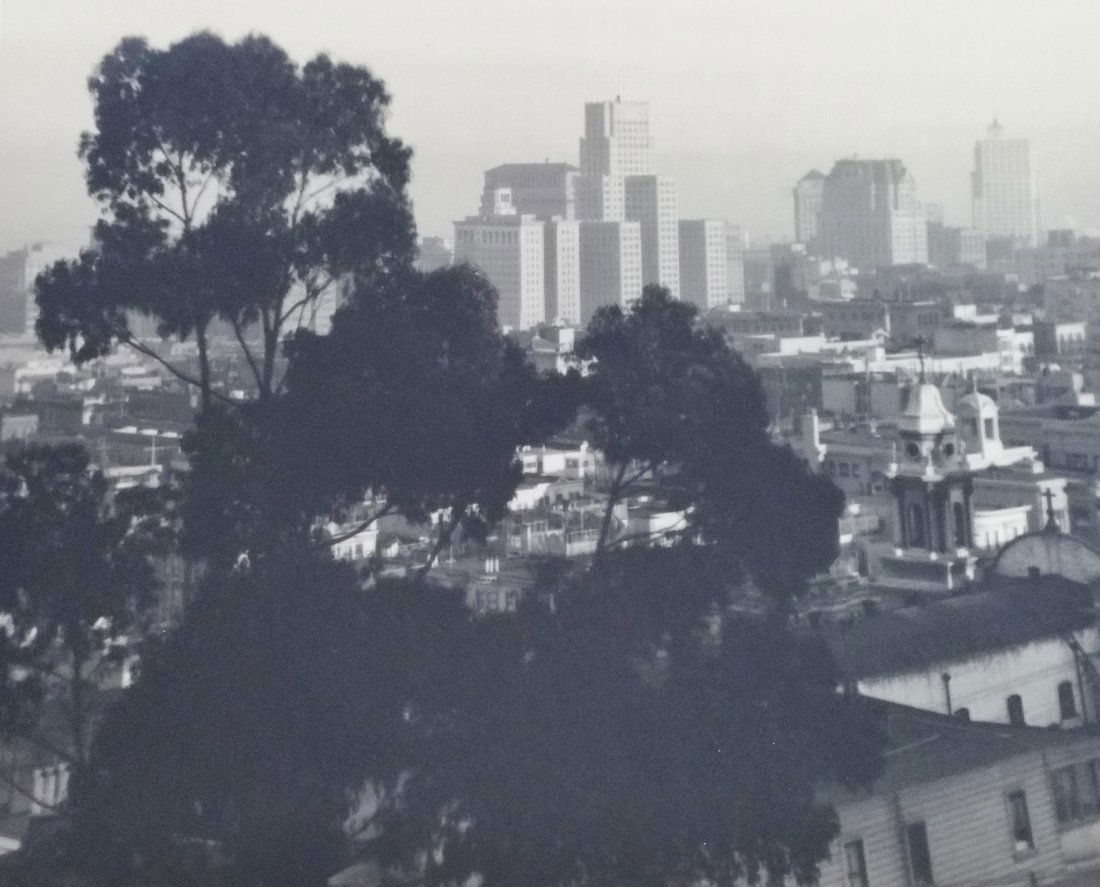 Dassonville Skyline Estate Bohemian Club Exhibition (1 of 7)