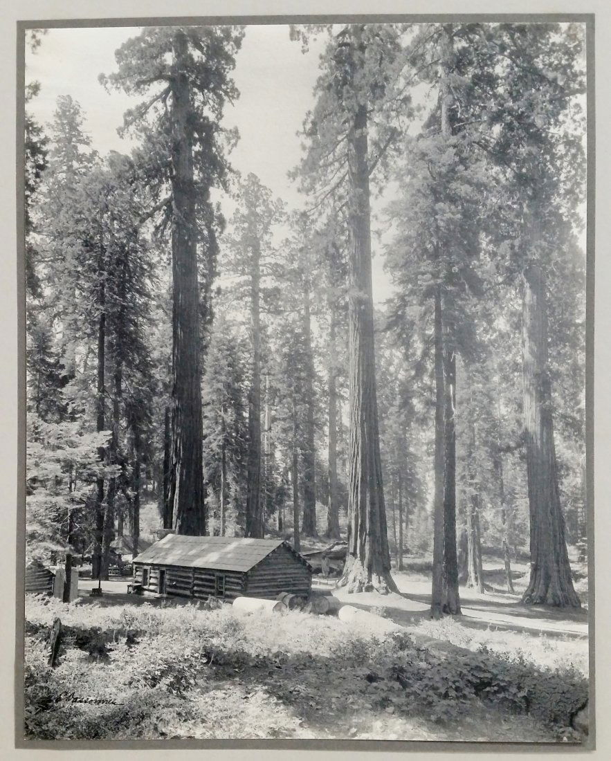 William Dassonville Mariposa Grove Cabin (1 of 4)