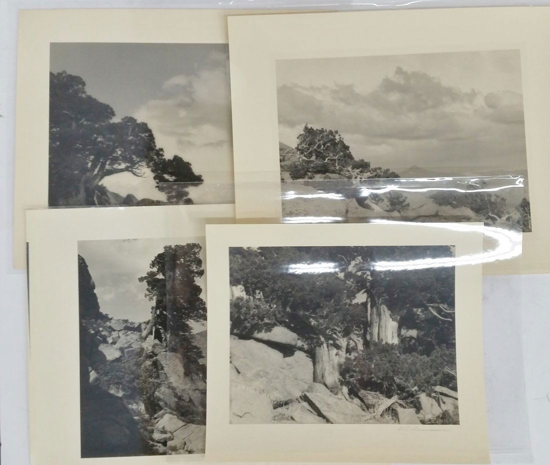 William Dassonville Lot of 4 High Sierra Photos (1 of 7)