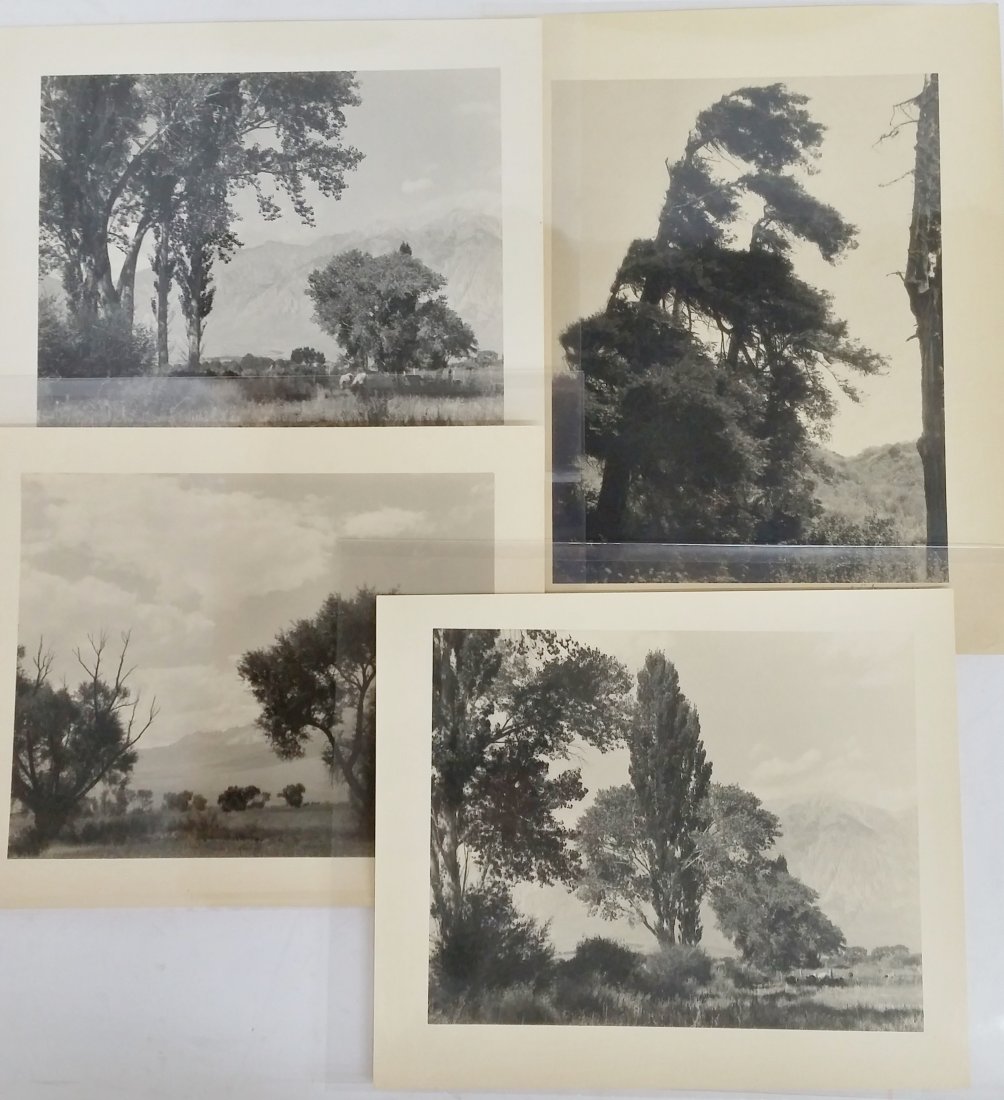 William Dassonville Lot 4 California Landscapes: Title: William Dassonville Lot 4 California Landscapes Description: A lot of 4 photographic prints showing pastures and landscapes from California. These photos were taken by William Dassonville. Will
