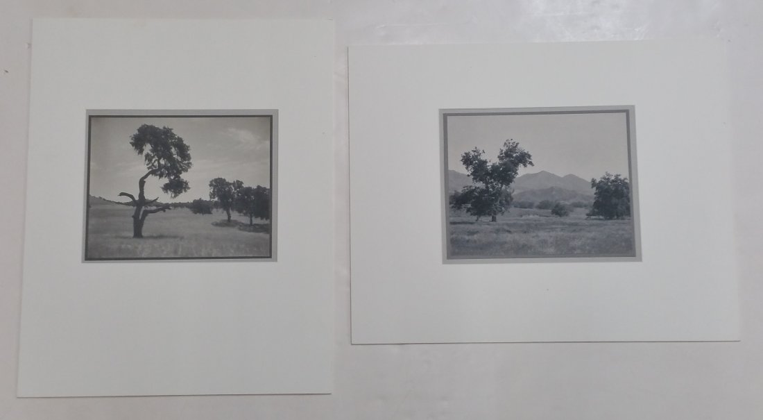 William Dassonville Lot Of 2 Landscape Photos Estate (1 of 10)