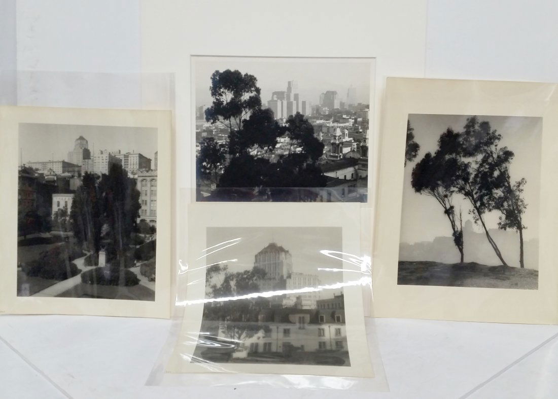 Dassonville Lot 4 San Francisco SF Photos (1 of 9)