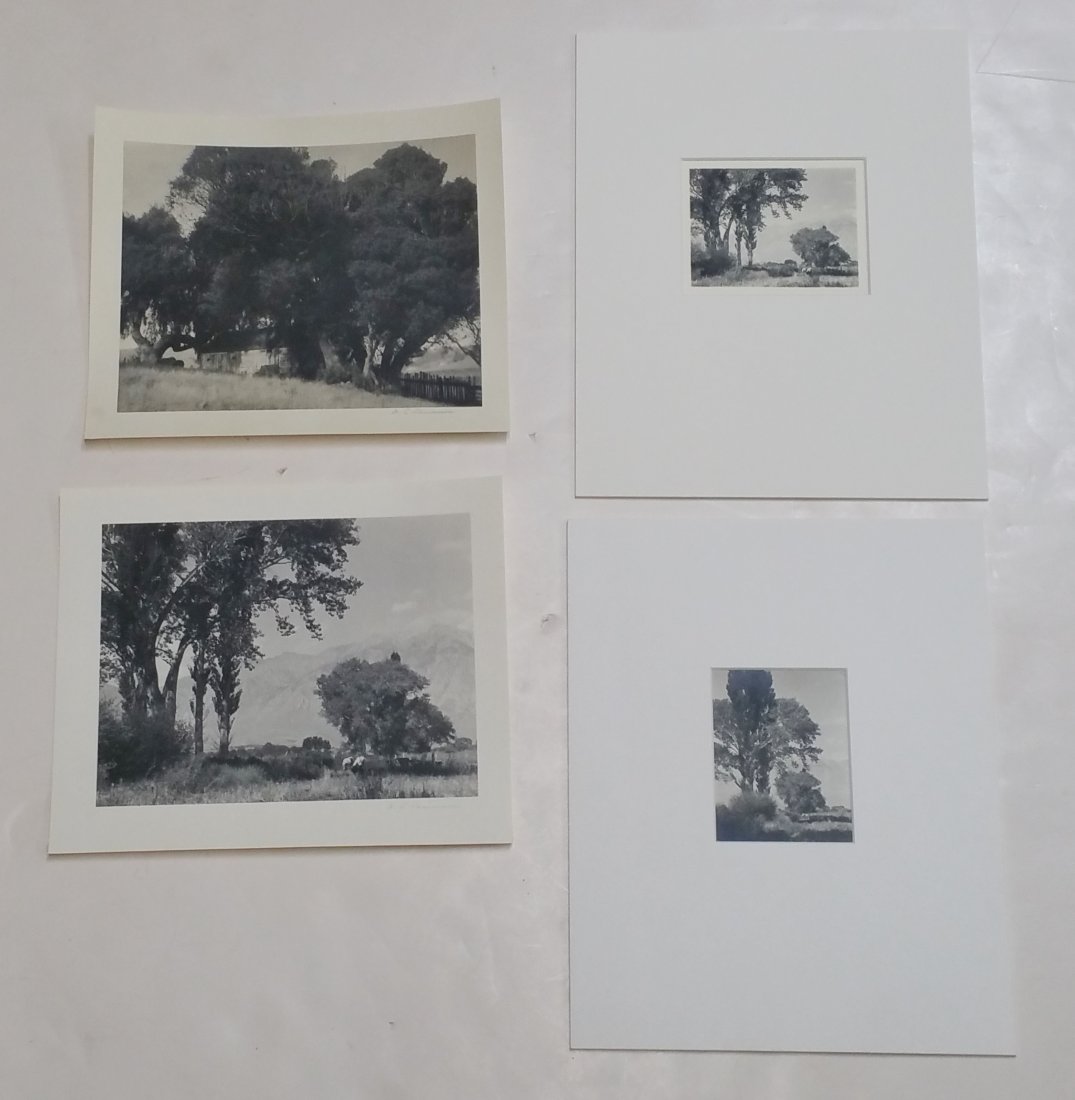 William Dassonville Lot Of 4 Mountain Landscape Photos: Title: William Dassonville Lot Of 4 Mountain Landscape Photos Estate Described By: Nikki CNX VX 1160 4467 Description: Charming lot of four photographs of mountain landscape by William Edward Dassonvi