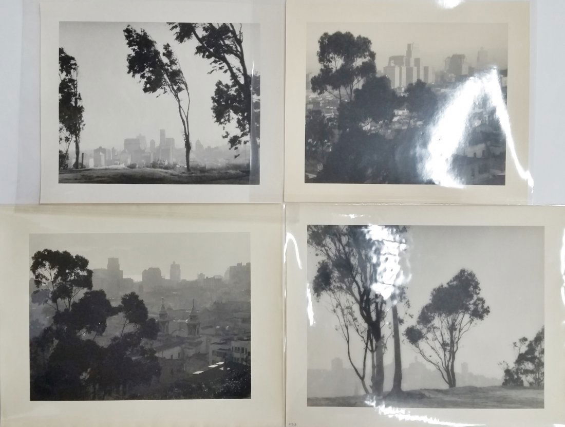 William Dassonville Lot 4 San Francisco Views (1 of 6)