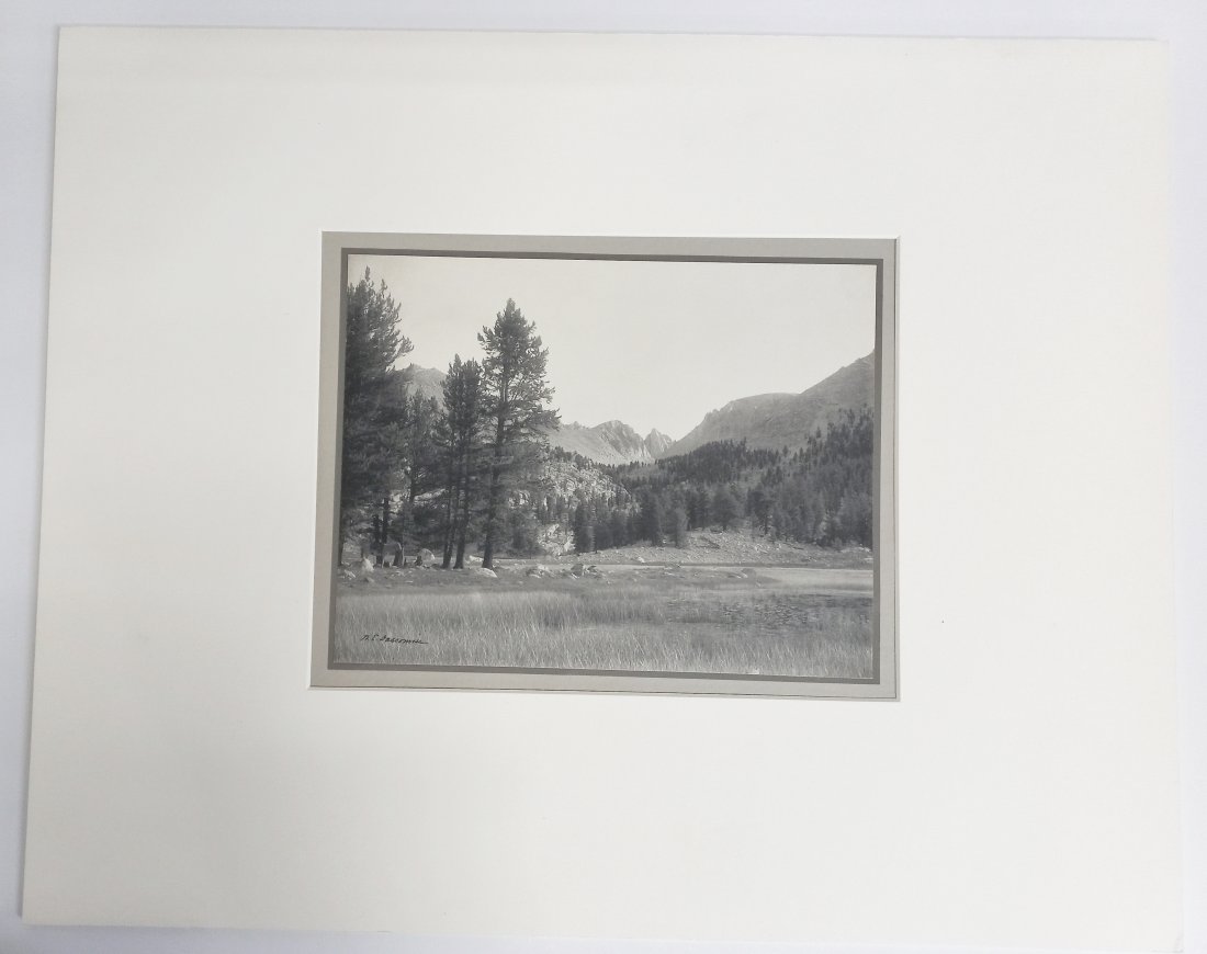 William Dassonville In The Sierra Valley Mountain Photo (1 of 5)