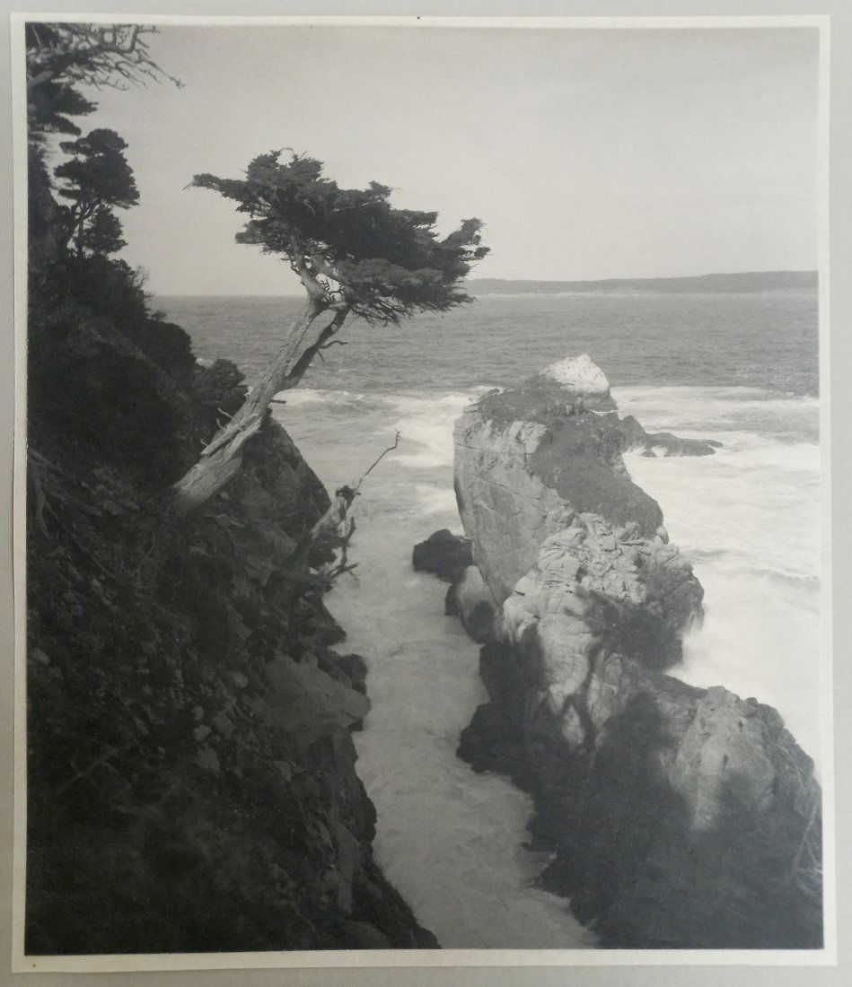 William Dassonville Monterey Coast Platinum Print Photo (1 of 6)