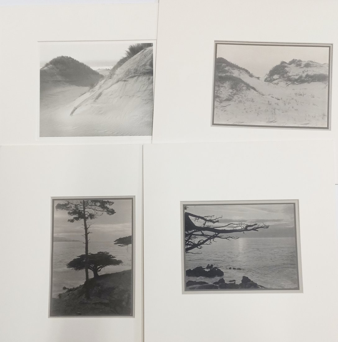 William Dassonville Lot 4 California Coast Dunes Photos (1 of 5)