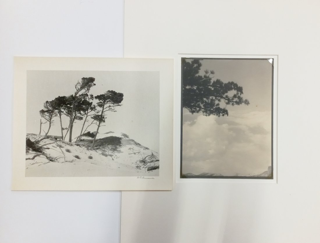 Dassonville Lot 2 Landscape Beach Mountains Photos (1 of 5)