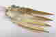 item-110071303=3