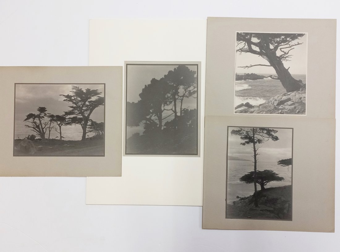 Lot 4 California Coastline Photos William Dassonville (1 of 6)