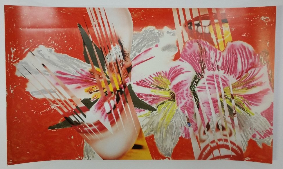 Scarce Signed James Rosenquist Shriek Galley Print (1 of 7)