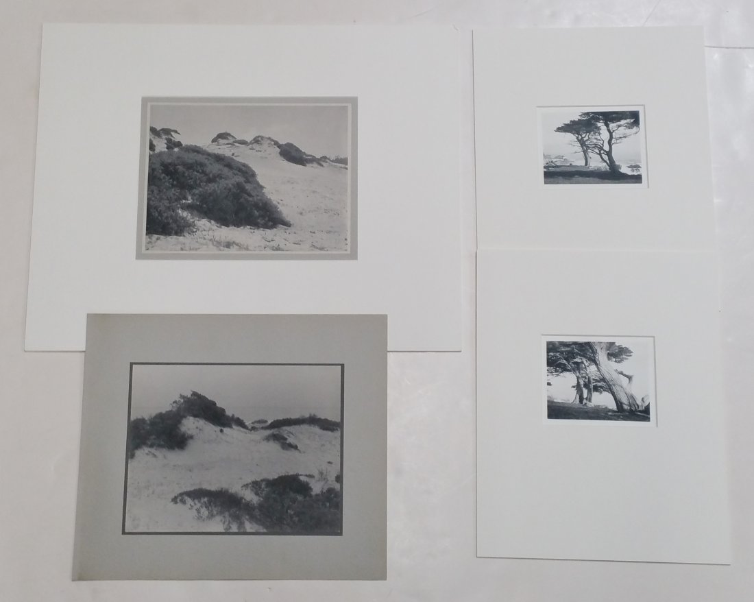 William Dassonville Lot Of 4 Dune Tree Photos Estate: Title: William Dassonville Lot Of 4 Dune Tree Photos Estate Described By: Nikki CNX VX 1160 4472 Description: Beautiful lot of four photographs of dunes and trees by William Edward Dassonville. Both p