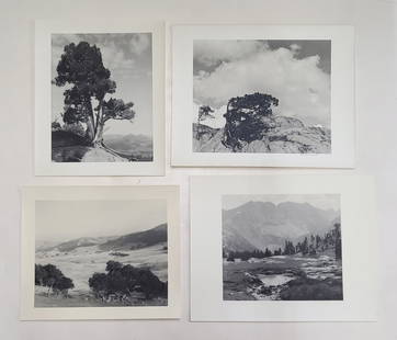 Lot 4 William E Dassonville Sierra Nevada Photos: Title: Lot 4 William E Dassonville Sierra Nevada Photos Described By: Nikki CNX VX 1160 4918 Description: Great lot of 4 photographs of the Sierra Nevada and High Sierra by William Edward Dassonville.