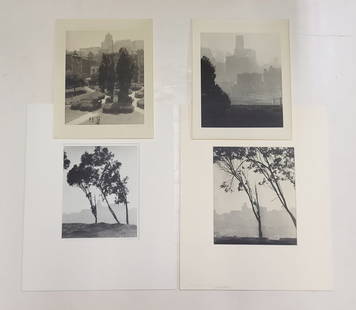 Lot 4 William E Dassonville Tree Cityscape Photos: Title: Lot 4 William E Dassonville Tree Cityscape Photos Described By: Nikki CNX VX 1160 4916 Description: Fabulous lot of 4 photographs of trees on in the San Francisco cityscape by William Edward Da