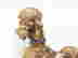 item-127494673=3