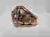 item-132349886=2