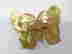 item-133963647=5