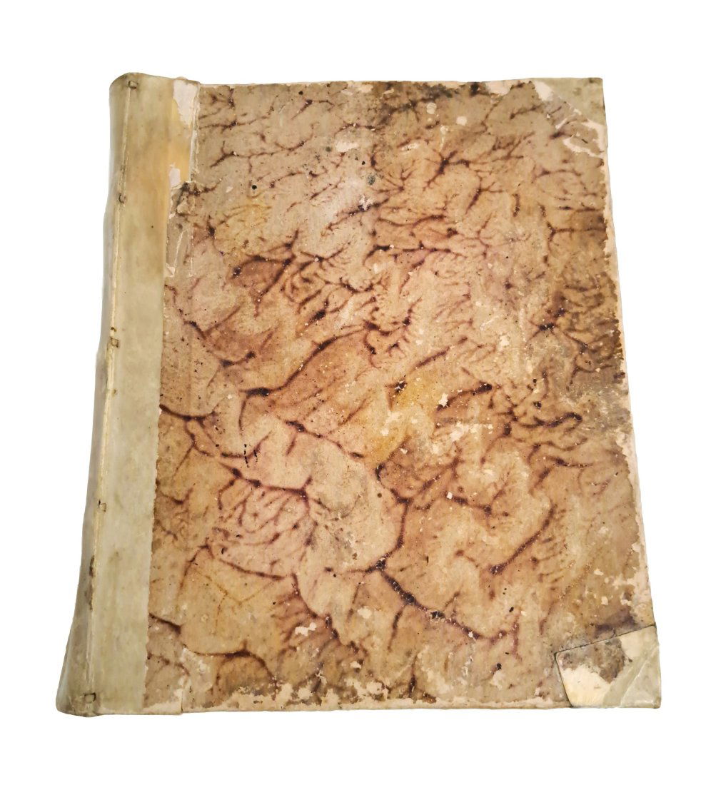 1733 Legal Medicine D Michalis Alberti Leather Bound German Forensic Clinical Book (1 of 12)