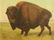 148: William Jacob Hays, Sr. 1862 Buffalo Western Paint - 2