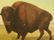 148: William Jacob Hays, Sr. 1862 Buffalo Western Paint - 3