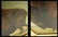 148: William Jacob Hays, Sr. 1862 Buffalo Western Paint - 8