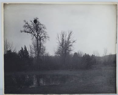 Rare William Dassonville Landscape Platinum Print Image 8x10: Described By:Michelle DBJQ Title: Rare William Dassonville Landscape Platinum Print Image 8x10 Description:William Edward Dassonville (American, 1879-1957) Rare William Dassonville Landscape Platinum