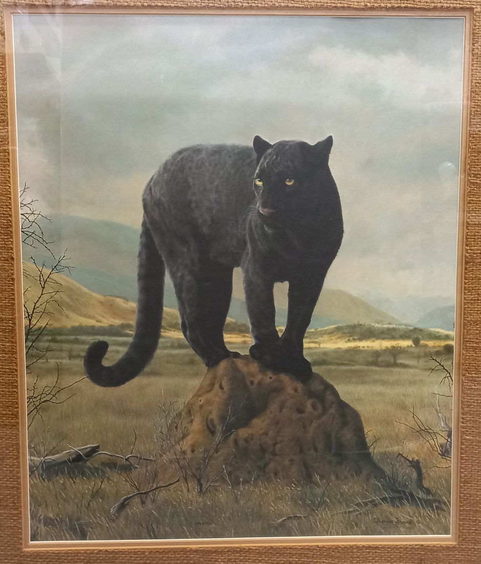 Signed Charles Frace 1974 “Black Leopard” Print W/ Paperwork About Artist & Print (1 of 5)