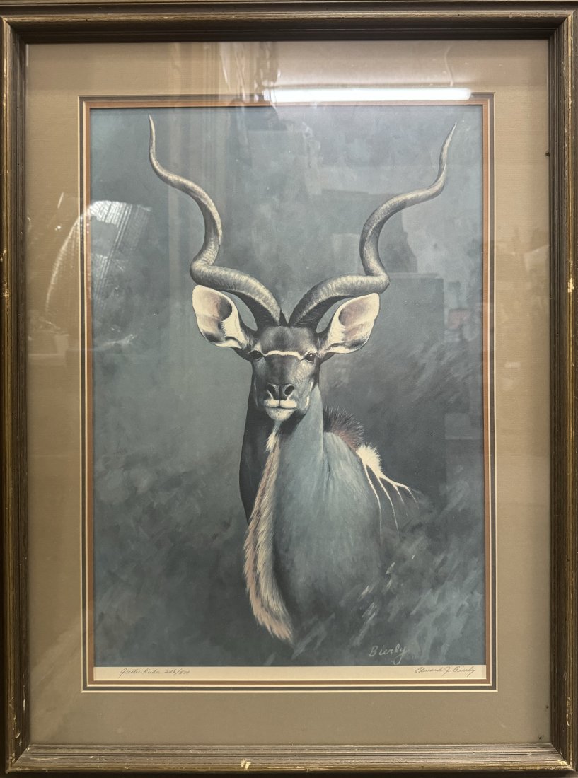 Large 1972 Edward J Bierly Greater Kudu Africanm Wildlife Signed Lithograph Print (1 of 6)