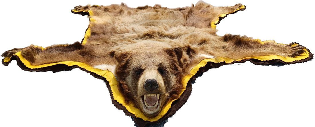 Vintage Taxidermy Brown Bear Rug 4’10”x4’10.5” (1 of 6)