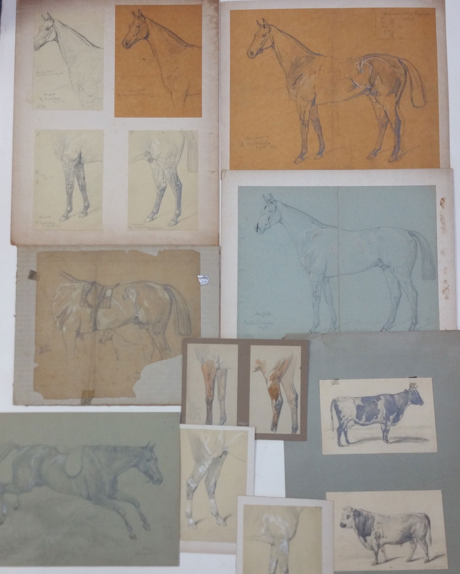Antique Emil Adam Family Equestrian Horse German Drawing Folio Collection (1 of 8)