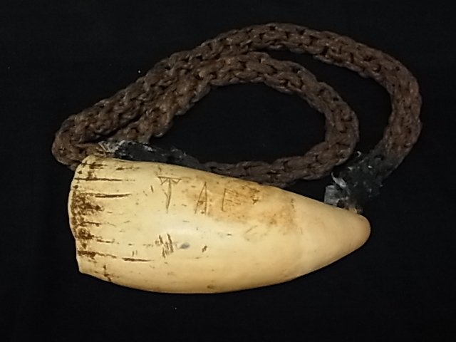 Antique Scrimshaw Whole Tooth Tusk Necklace Fiji Ta: Antique Scrimshaw Whole Tooth Tusk Necklace Fiji Tabua Signed TAF South Pacific Islands Whaling Naval Nautical Marine Folk Art Discovery Distinctive Braided Chain Rope Appears Native Worn 5 ¼ ” Hig