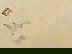 item-199959489=5