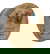 item-204421705=1