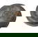 item-204421705=5