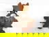item-204785699=3