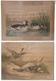 Lot Of Two Alexander Pope Jr. Game Bird Chromolithograph Prints Armstrong & Co Boston