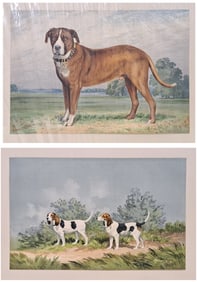 Lot Of 2 Alexander Pope Jr. Celebrated Dogs Of American Armstrong & Co Boston Chromolithographs