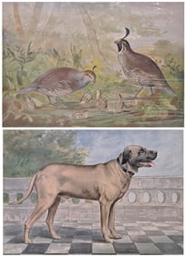 Lot Of 2 Alexander Pope Jr. Gamebird Celebrated Dogs Of America Armstrong Boston Chromolithographs