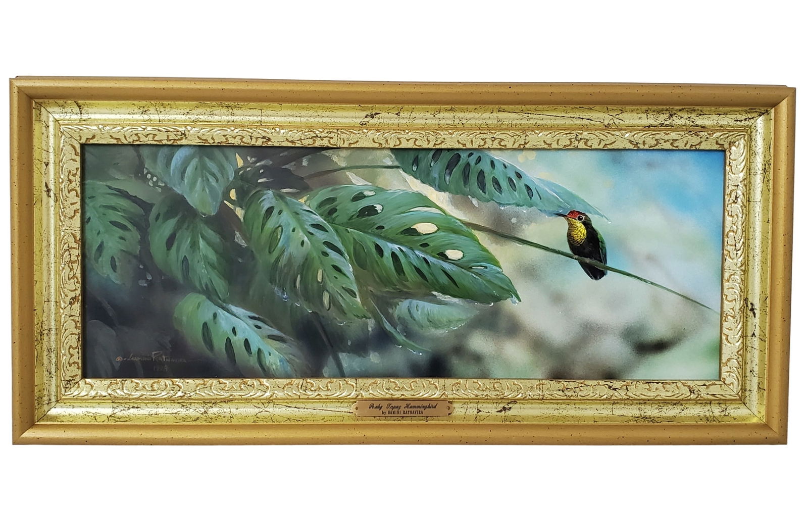 Gamini Ratnavira Nature Wildlife Artist Ruby Topaz Hummingbird Painting 1998: Described By:Michelle NED 65297 Title: Gamini Ratnavira Nature Wildlife Artist Ruby Topaz Hummingbird Painting 1998 Description: Gamini Ratnavira Nature Wildlife Artist Ruby Topaz Hummingbird Painting