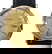 item-209243365=1