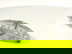 item-208097988=4