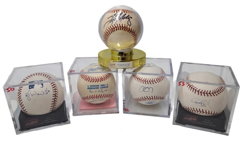 Tampa Bay Devil Rays Don Zimmer Delmon Young John Flaherty Doug Waechter Aubrey Huff Signed Baseball