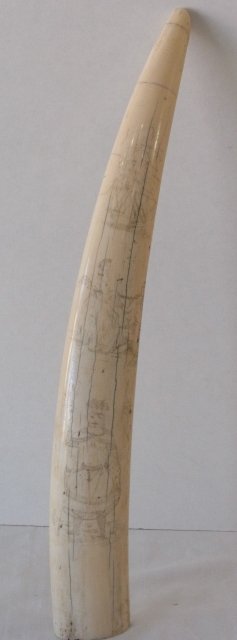 16th or 17th Century Walrus Tusk Ivory Scrimshaw Engrav: 16th or 17th Century Walrus Tusk Ivory Scrimshaw Engraved with Ship Georgian Continental Couple & Conquistador Stuyvesant Colonial Family Estate New York Boston This is not a reproduction. It is guara