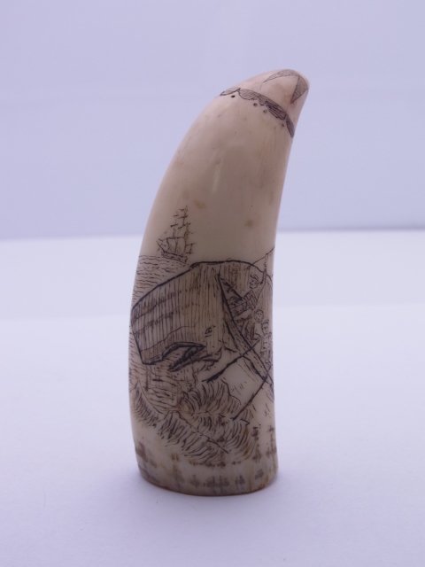 Historical Old New England Provenance Engraved Whaling: Historical Old New England Provenance Engraved Whaling Scrimshaw Whale Tooth Clipper Ships with Whaler Expedition Primitive Folk Art. This is an authentic whaling artifact, possibly walrus tusk at lea