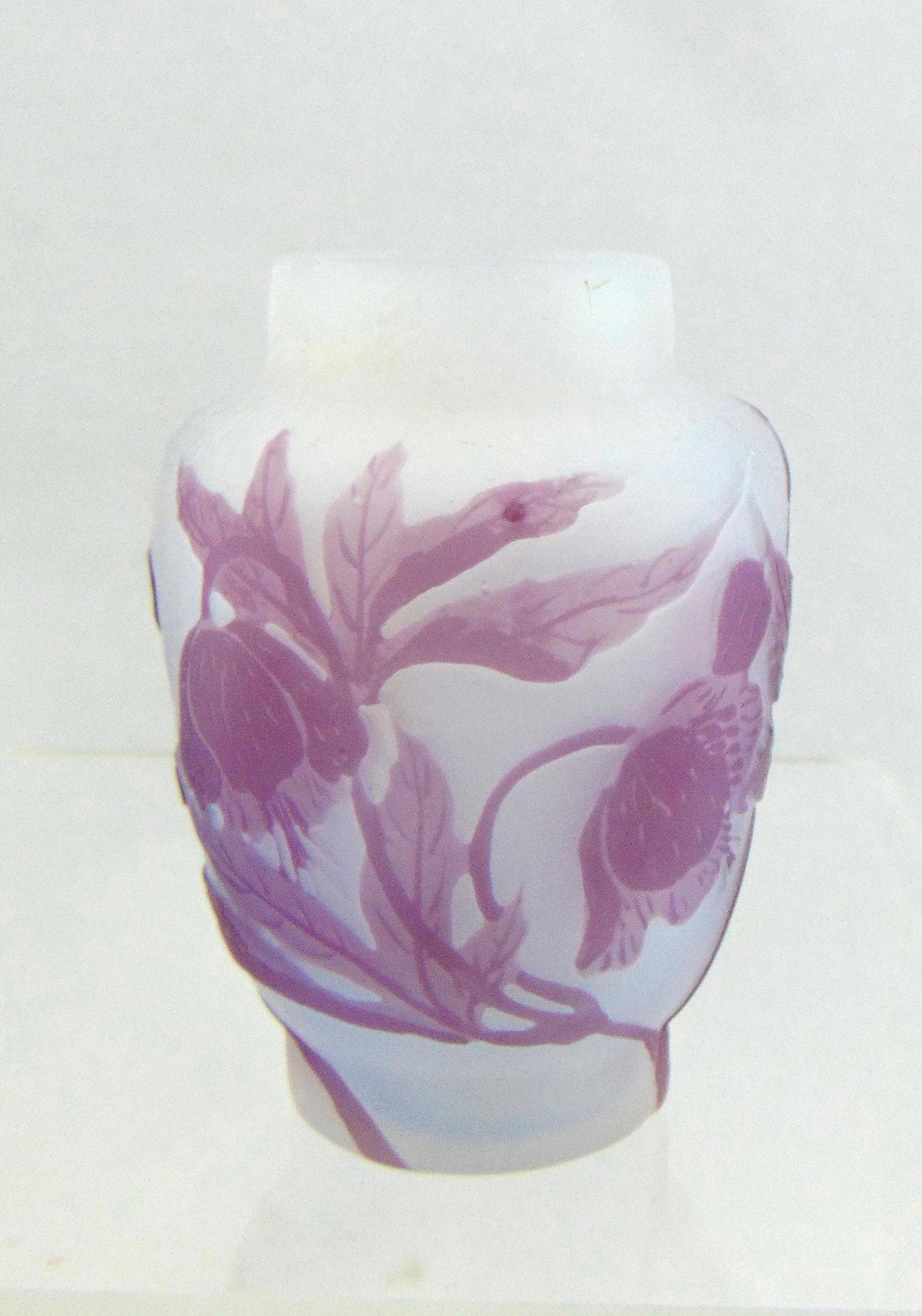 Galle French cameo glass vase (1 of 5)