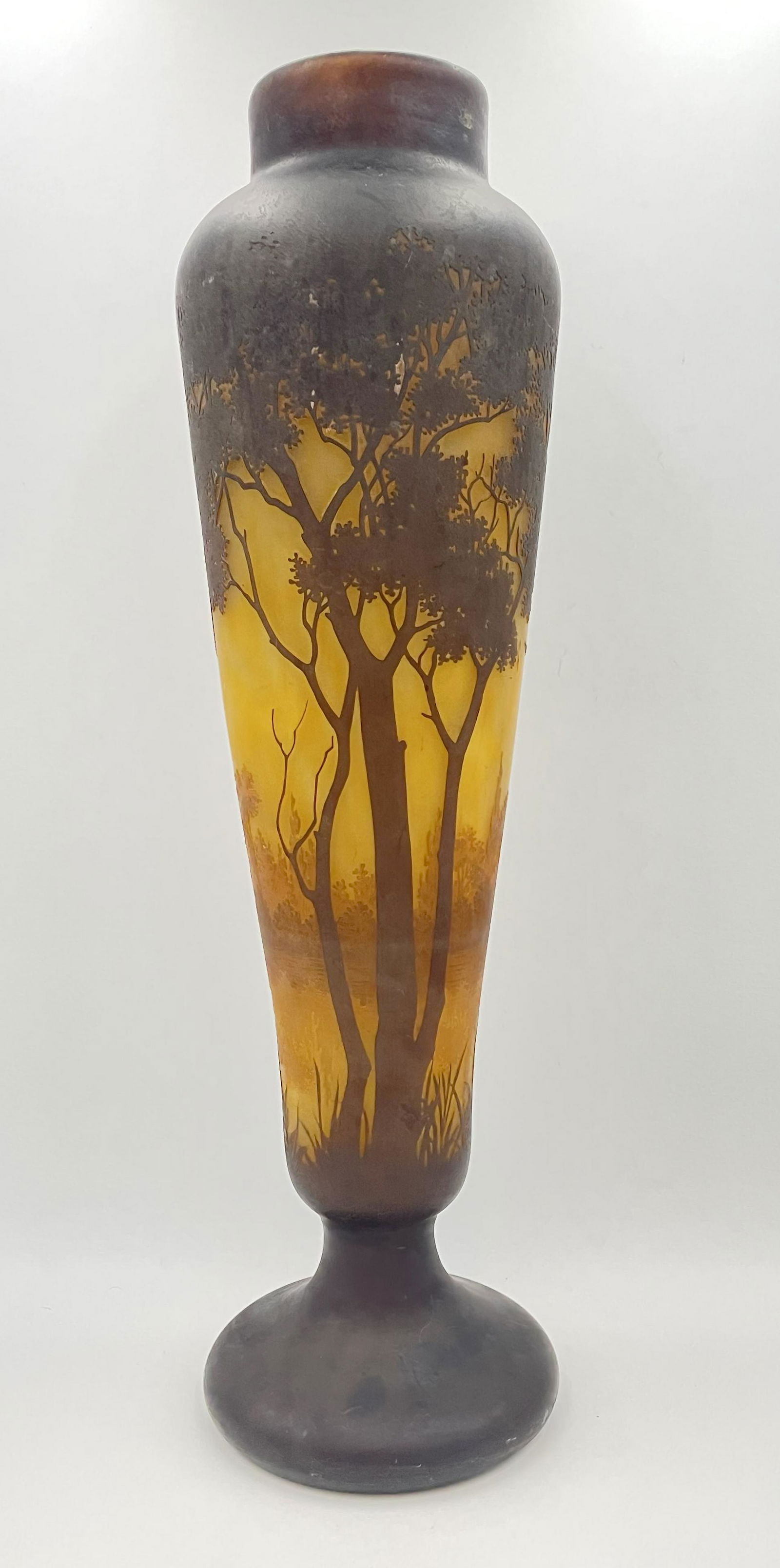 Large Daum Nancy French cameo vase (1 of 6)