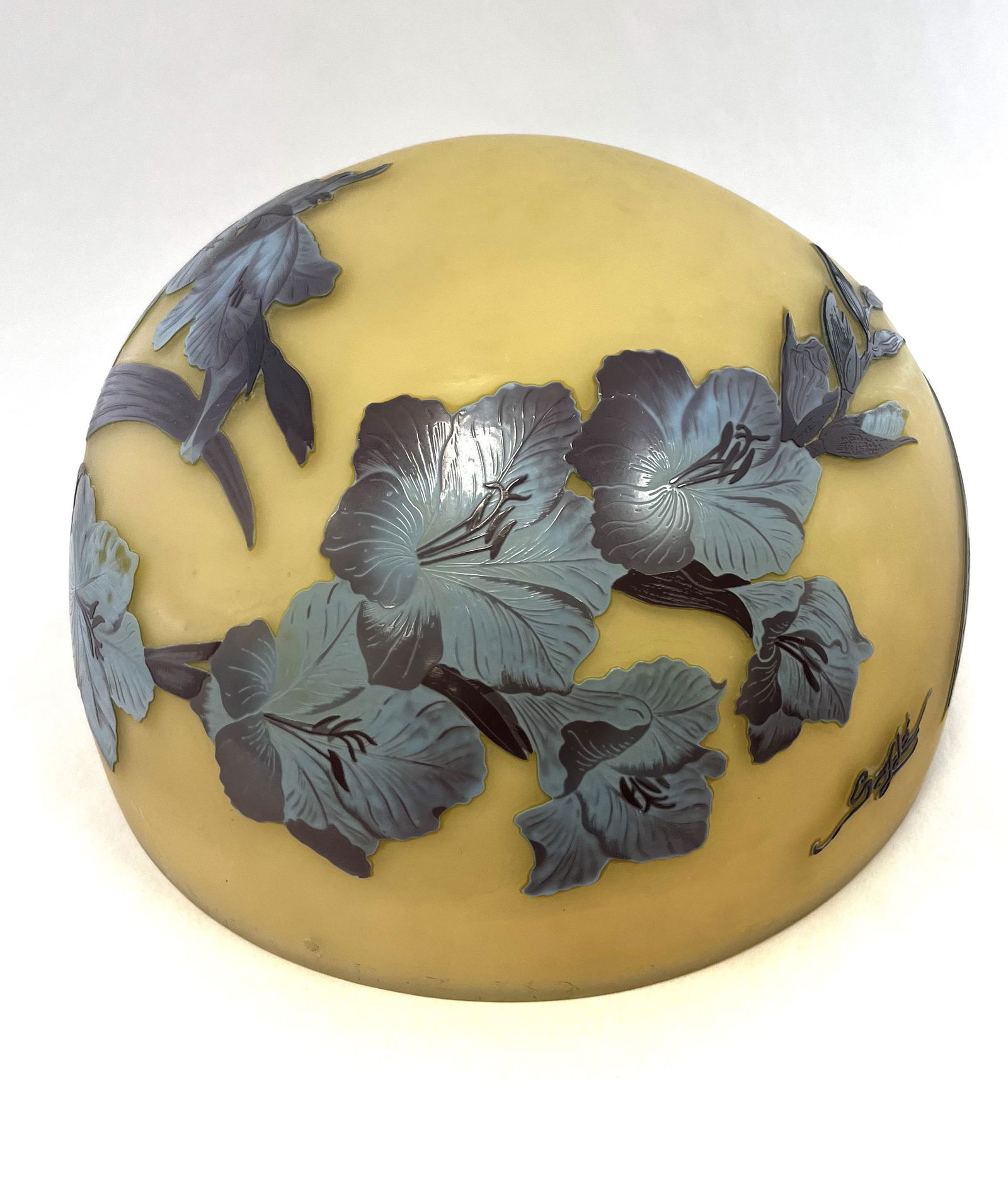 Galle French cameo glass shade (1 of 8)