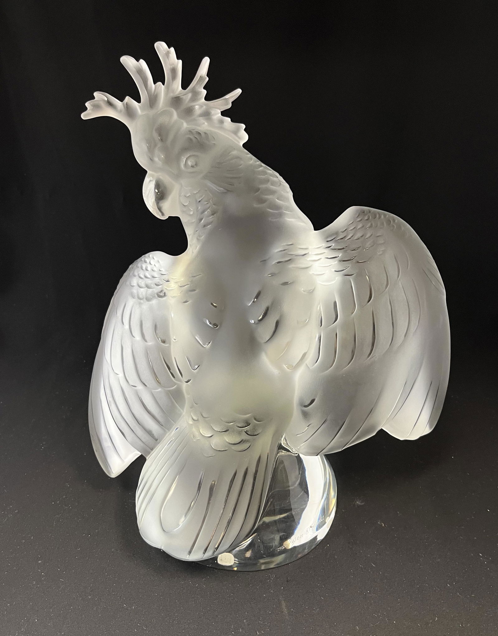 Lalique Ara Cockatoo (1 of 5)