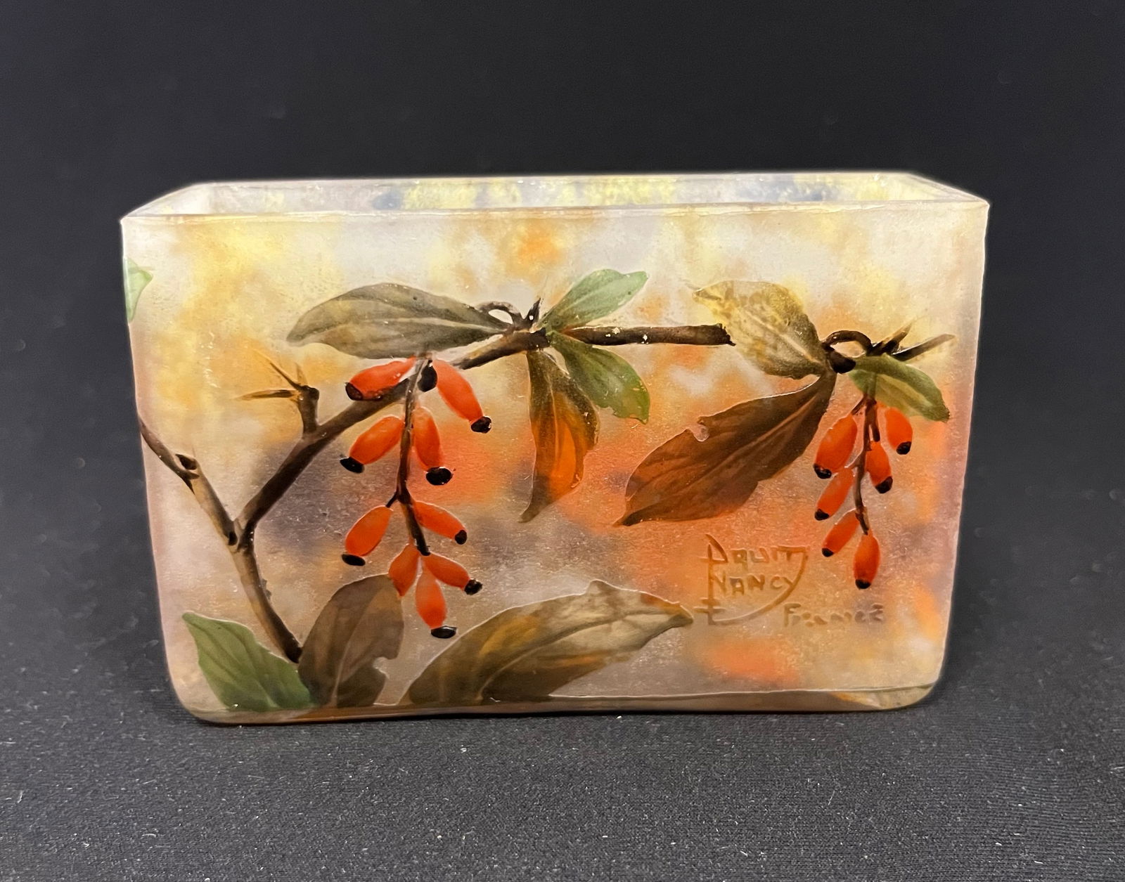 Daum Nancy French cameo vase (1 of 4)